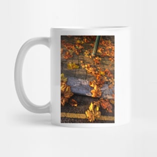 Dead Leaves on the Dirty Ground Mug